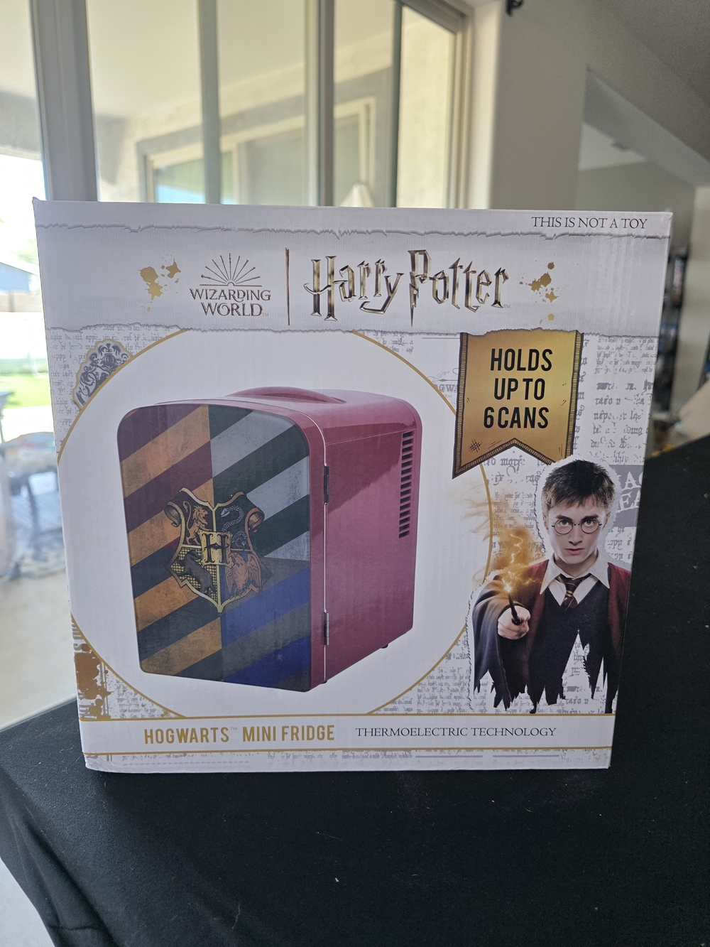 Harry Potter Hogwarts Mini Fridge - Pink